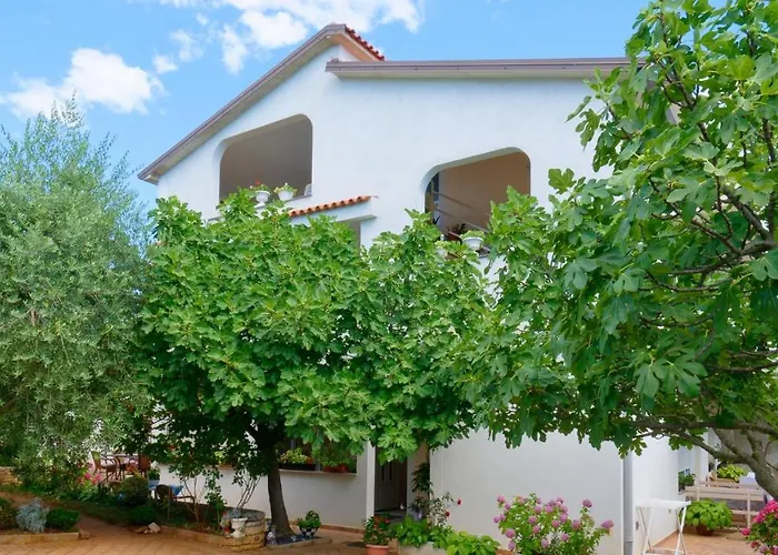 Apartments Susie By Rent Istria