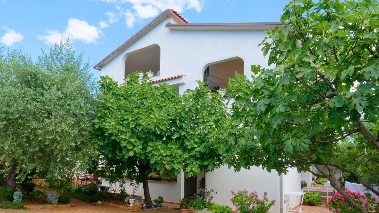 Susie By Rent Istria Umag